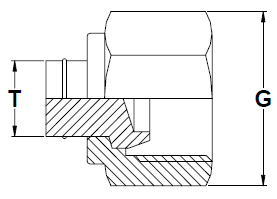 stainless-steel-caps