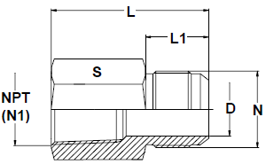 Stainless Steel 37 Degree Flare Female Connectors