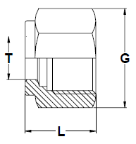 stainless-steel-hex-nuts-stainless-steel-ferrules-e1778226518928