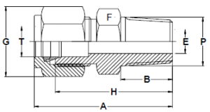 stainless-steel-male-connectors-r