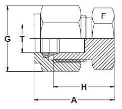 stainless-steel-plugs
