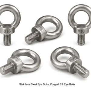 Stainless-Steel-Eye-Bolts-Forged-SS-Eye-Bolts